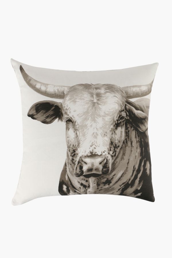 pillows at mr price home